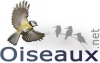 Oiseaux