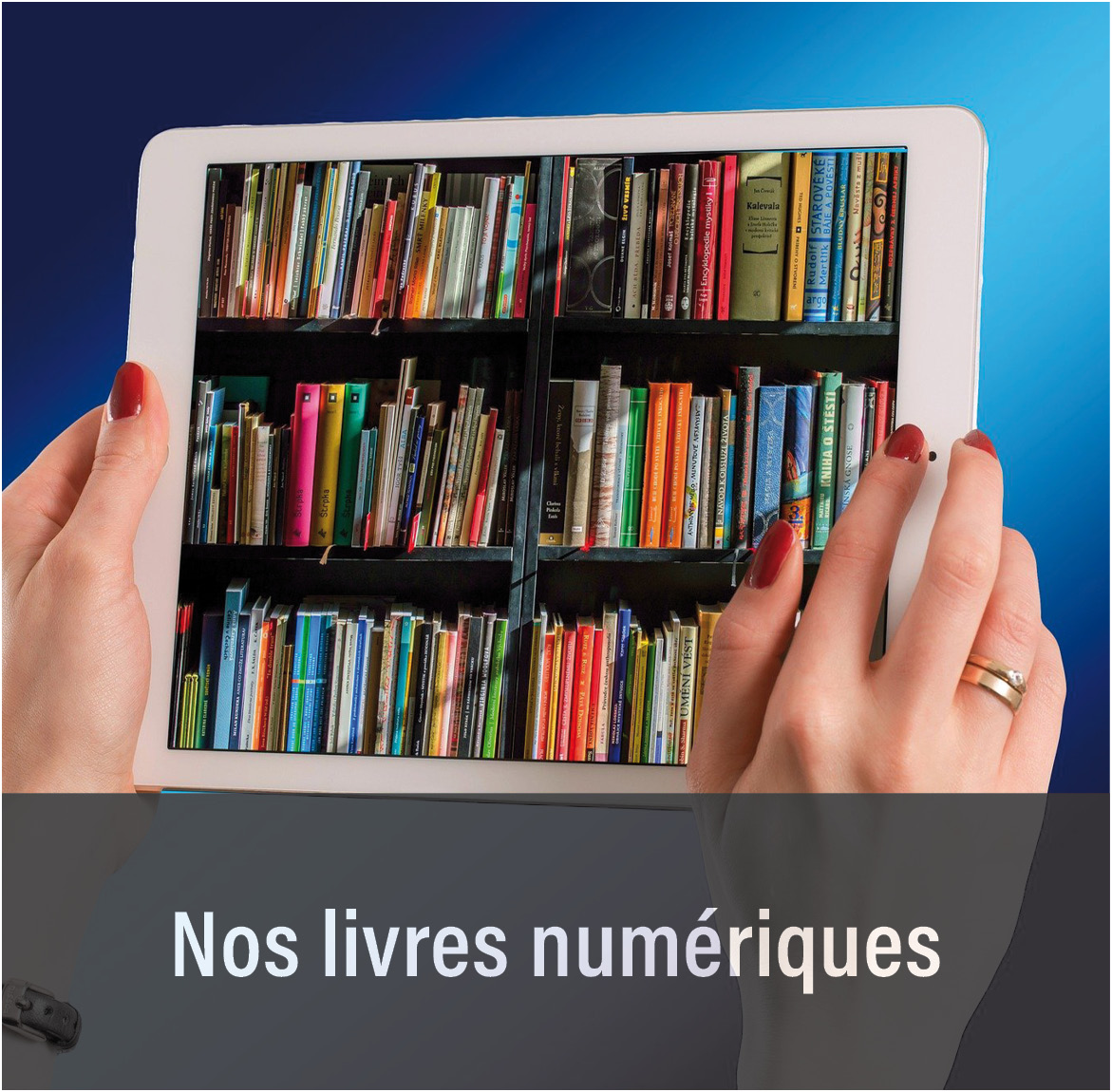 Ressources numriques PNB