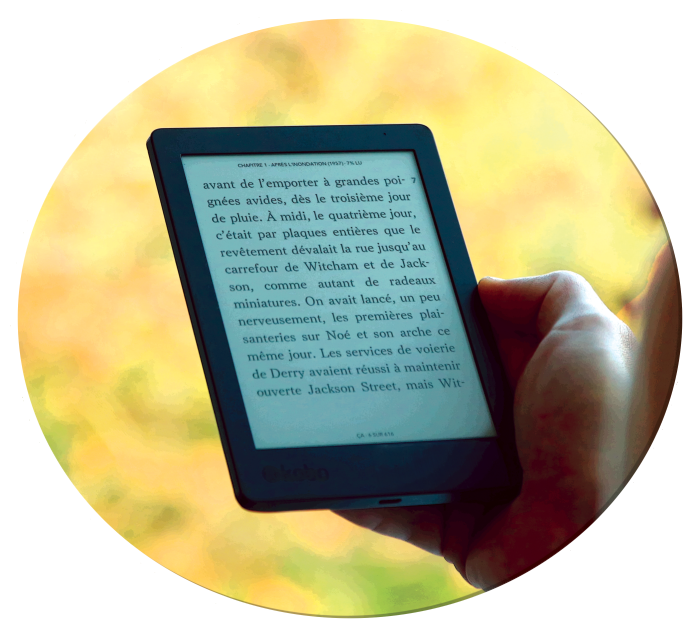 logo site internet liseuse